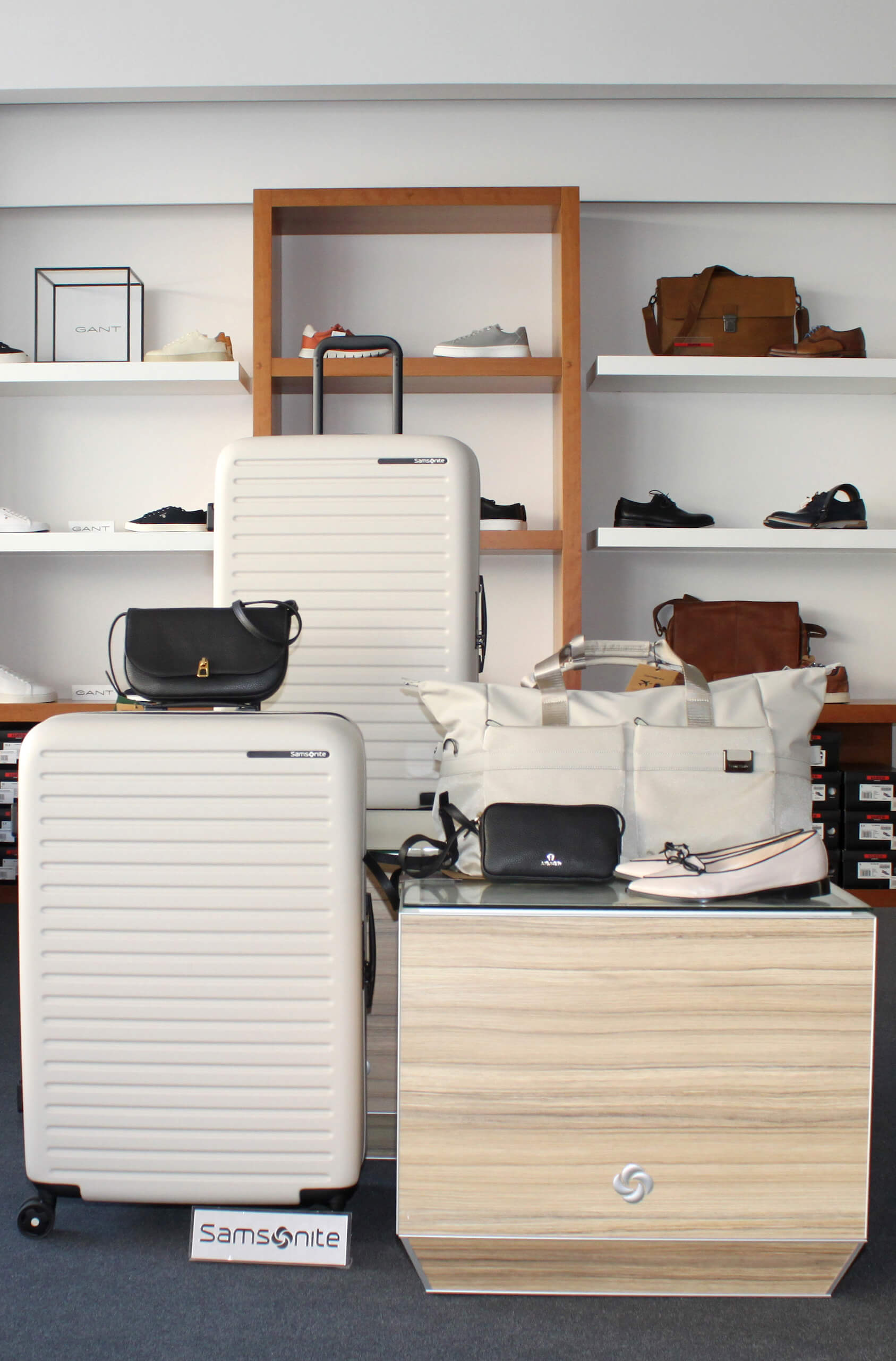 Helles Geschäftslokal von Alles Leder Ebenspanger mit diversen Koffern, Taschen und Schuhen